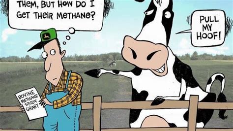 cow porn cartoon